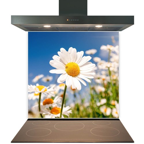 Glass splashback for - glass,