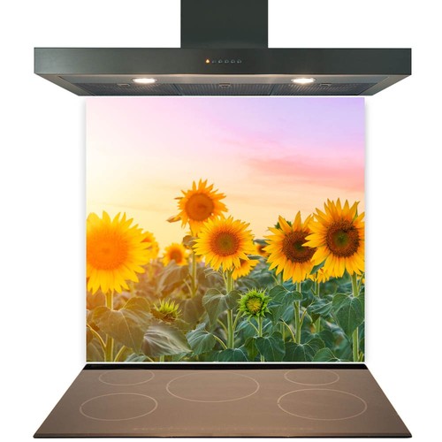Glass splashback for kitchen - glass,