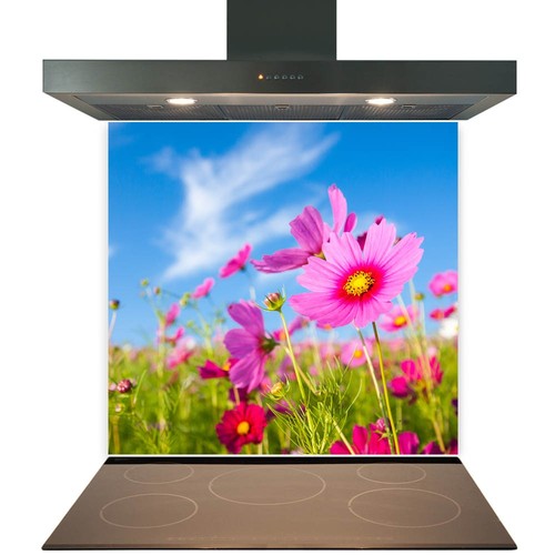 Glass splashback for kitchen - glass,